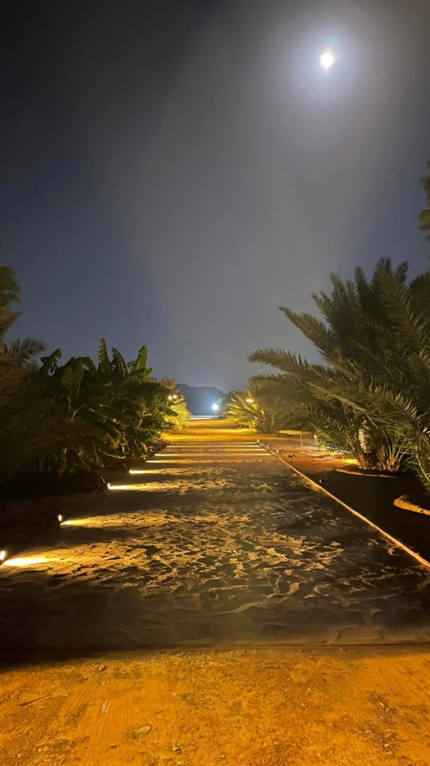 غرفة بسرير ماستر 8