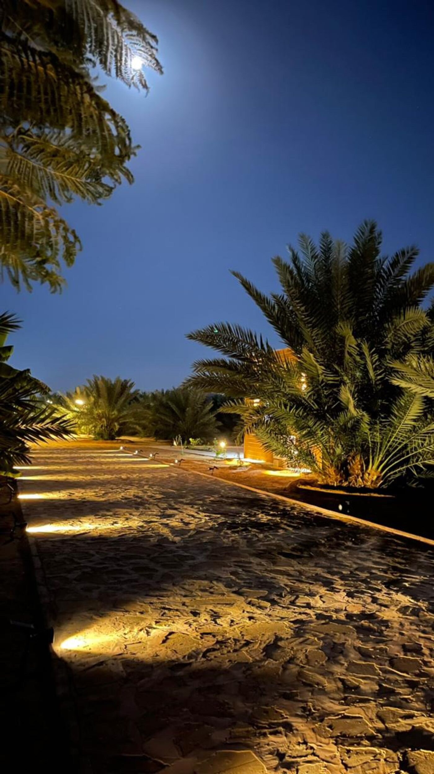 غرفة بسرير ماستر 11