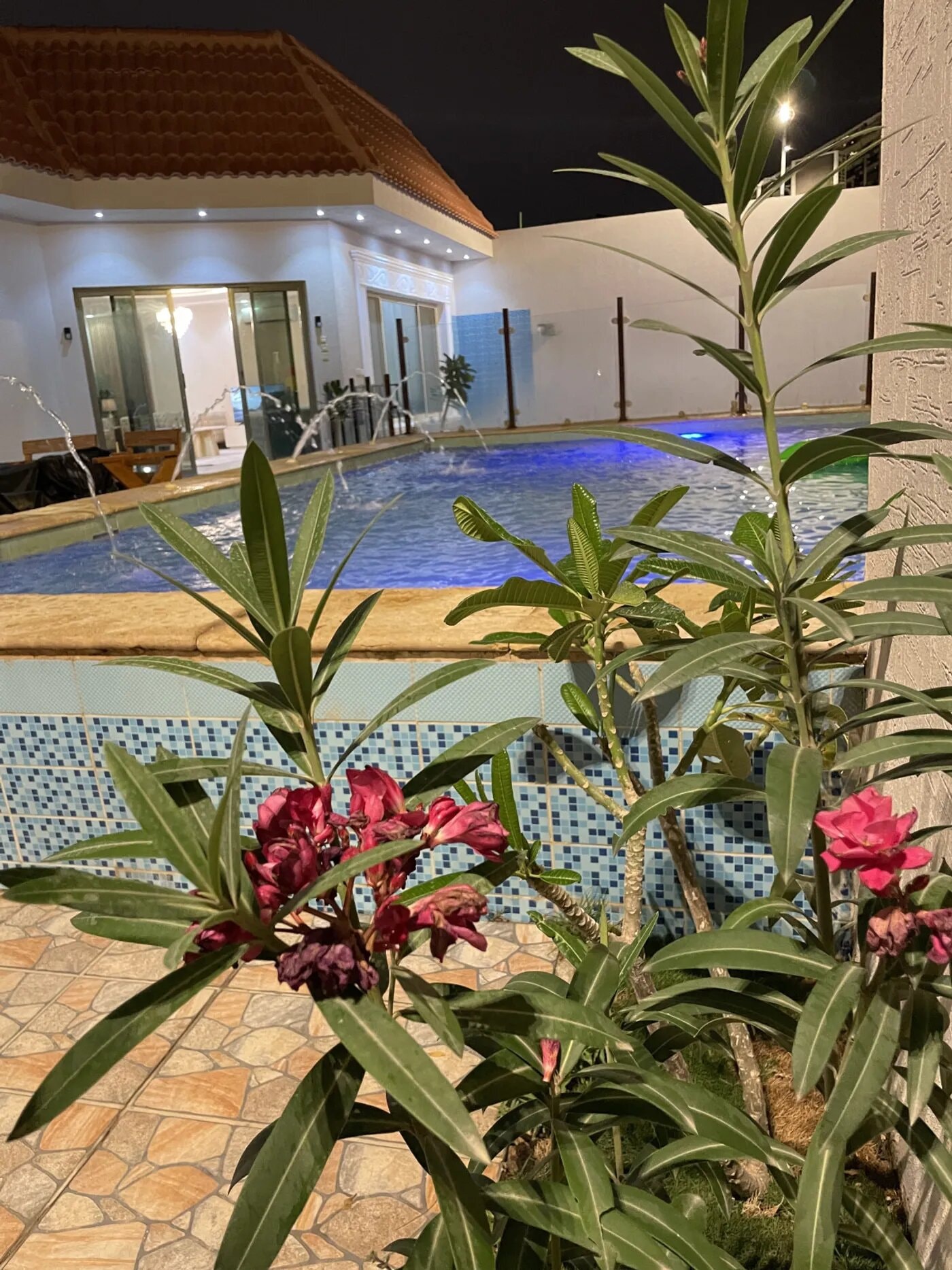 شاليه العمر 7