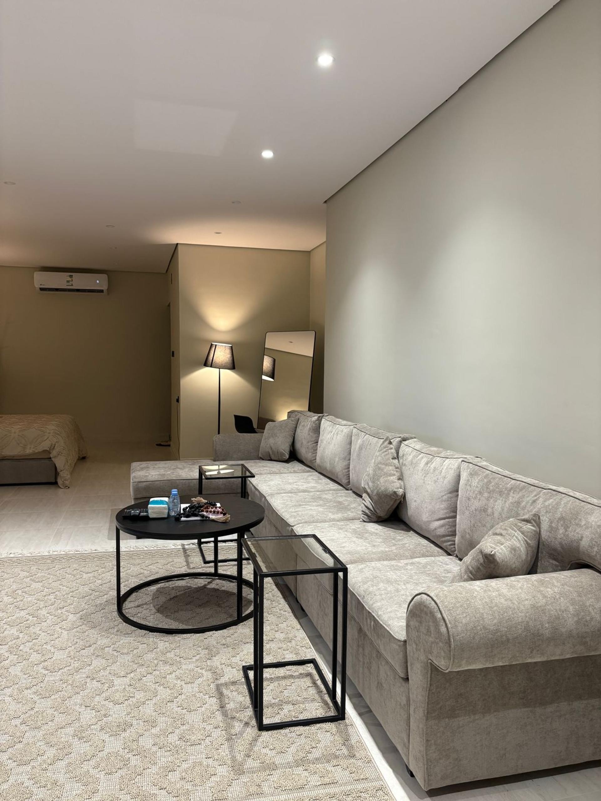 استديو عصري بدخول ذاتي في موقع حيوي 4