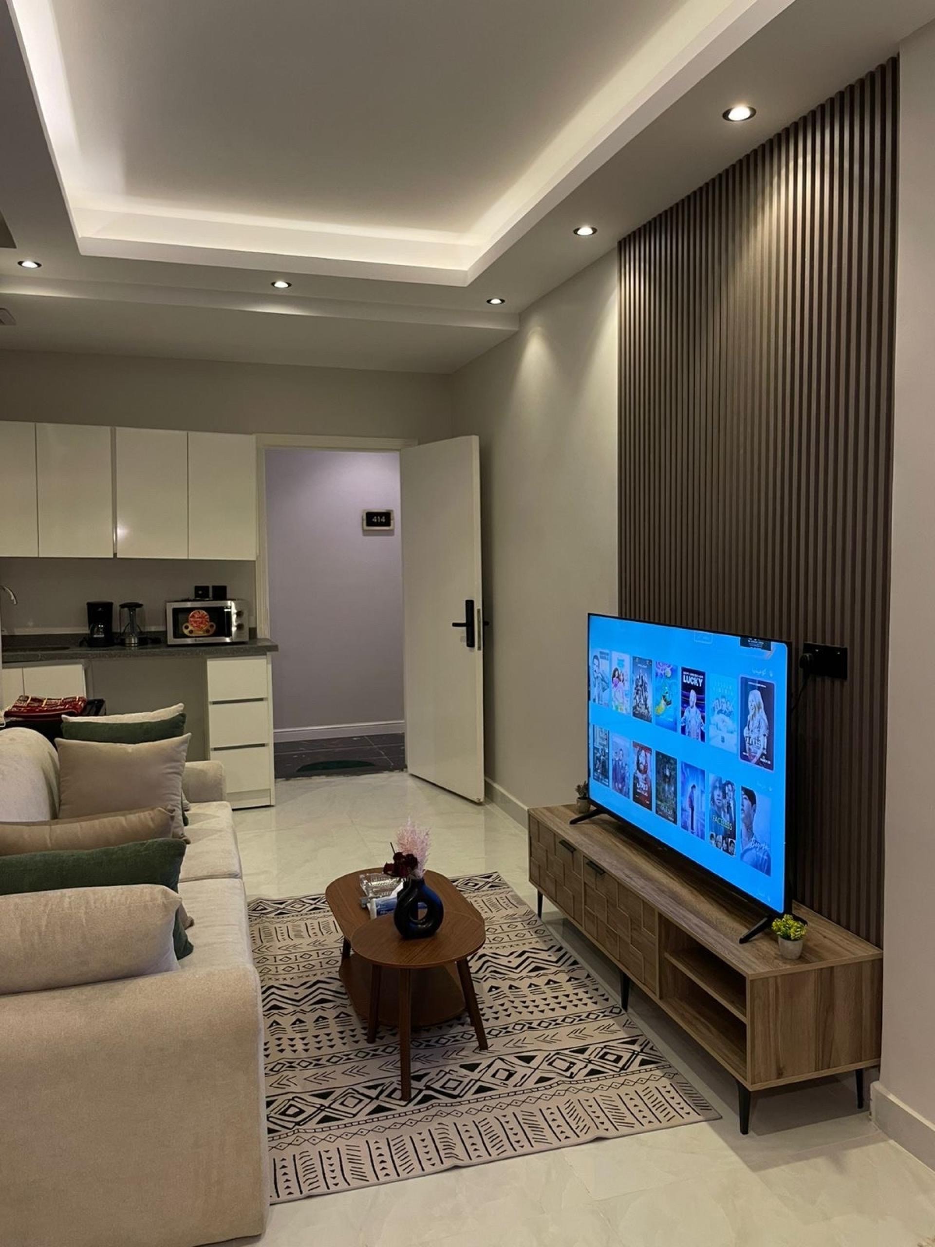 شقة أنيقة 11