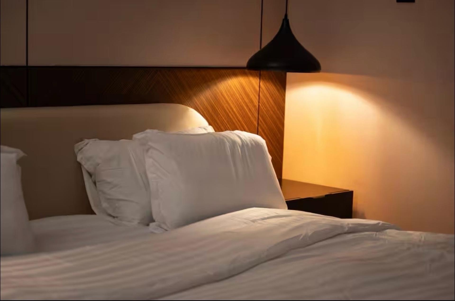 استديو اقتصادي فاخر دخول ذاتي 3