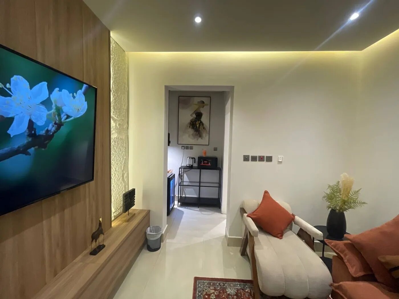 شقة بغرفة نوم وصالة 1