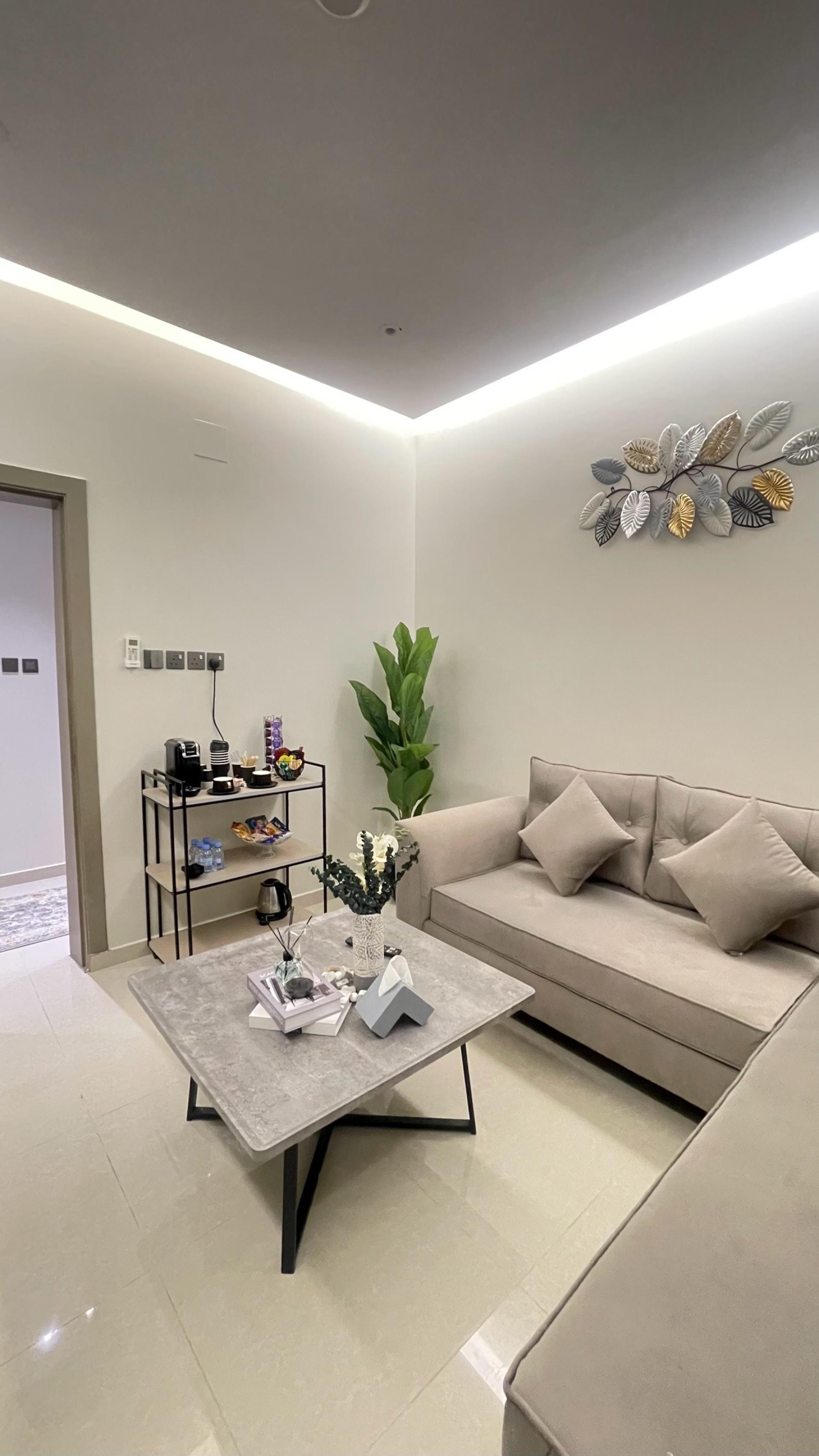 شقة أنيقة بغرفة نوم وصاله ومطبخ 1