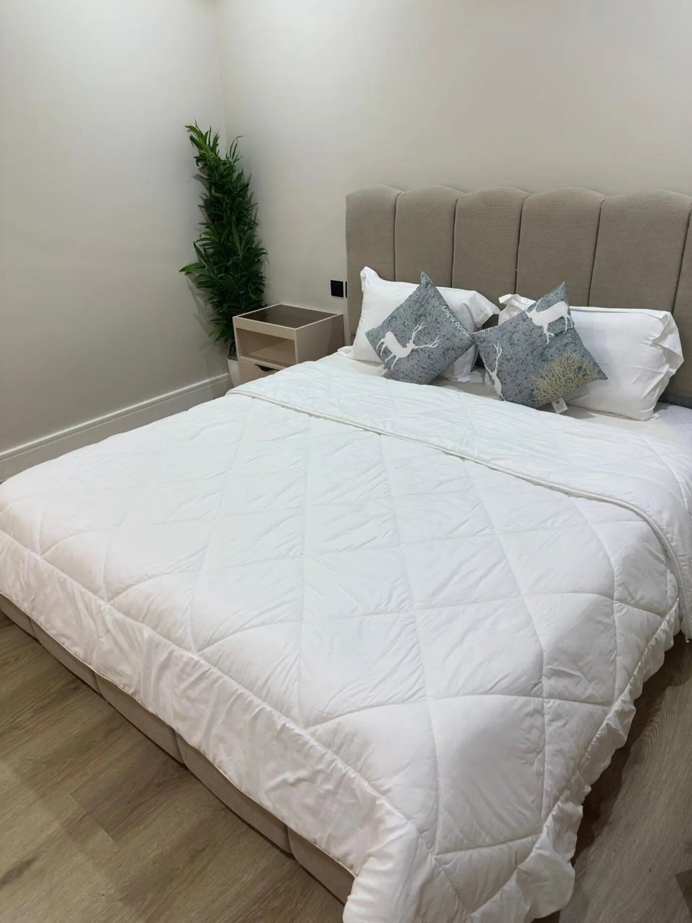 شقة بغرفة نوم وصالة 6