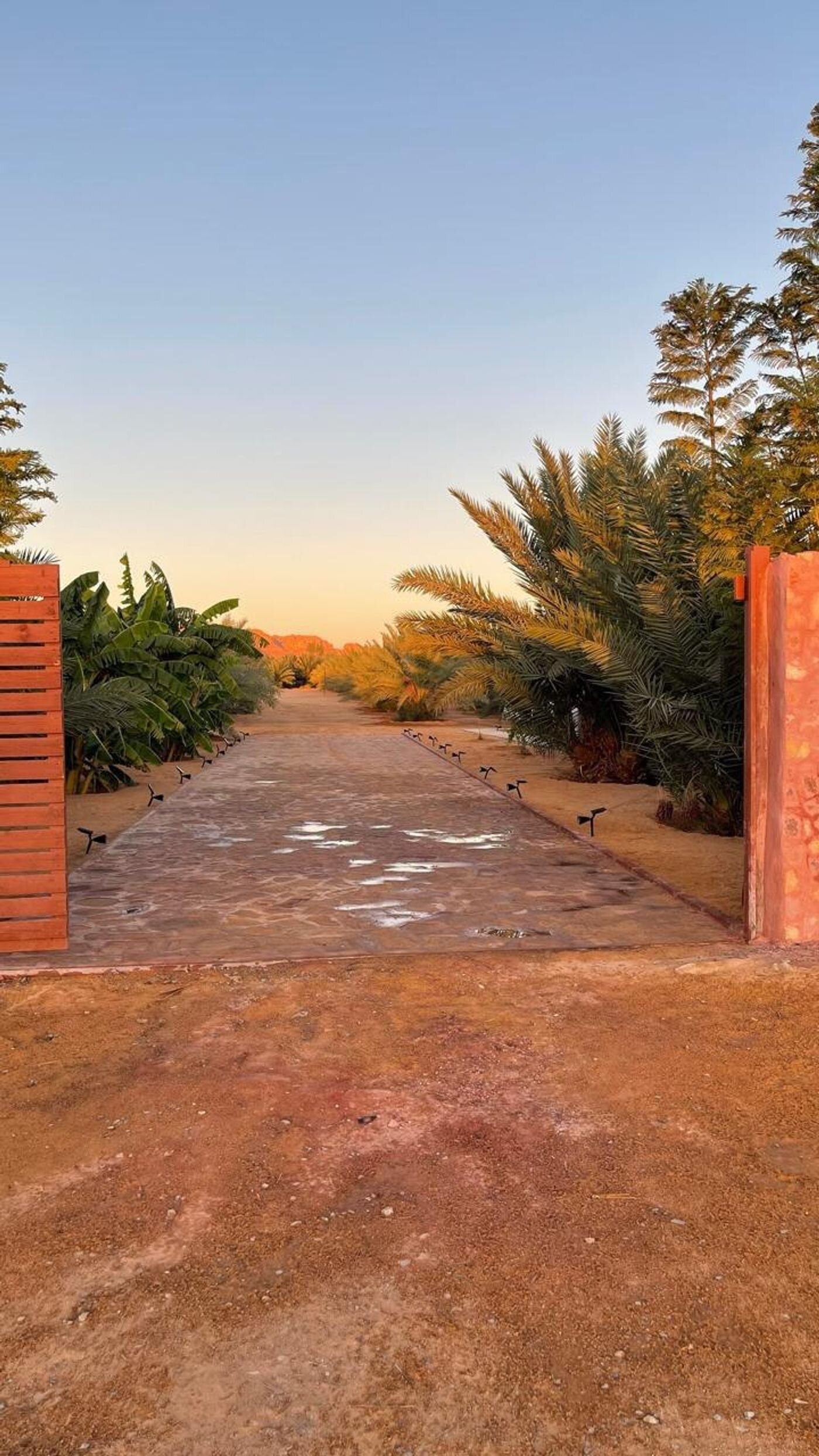 غرفة بأجواء دافئة 11