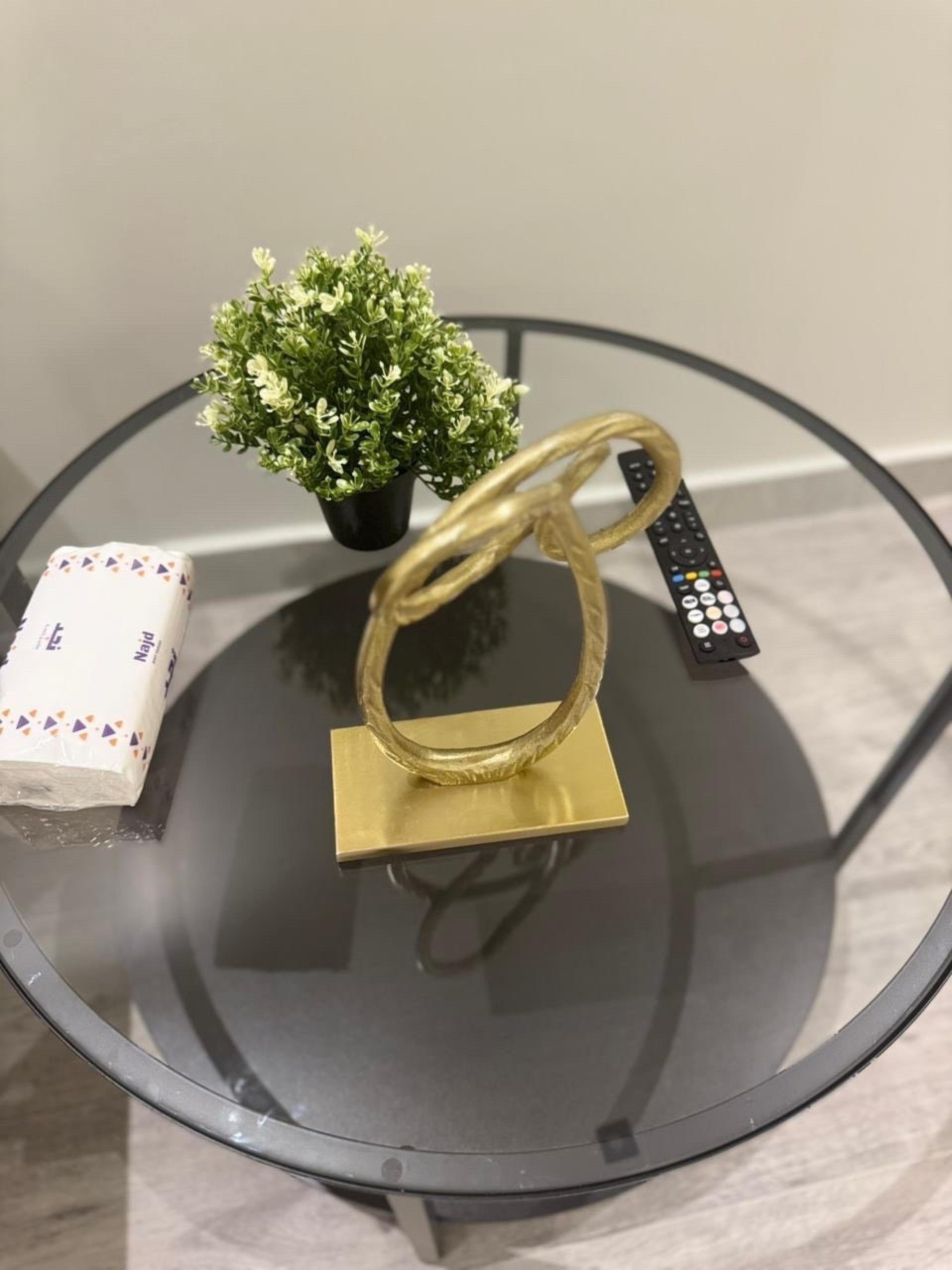 عش المدينة 303City Nest 2