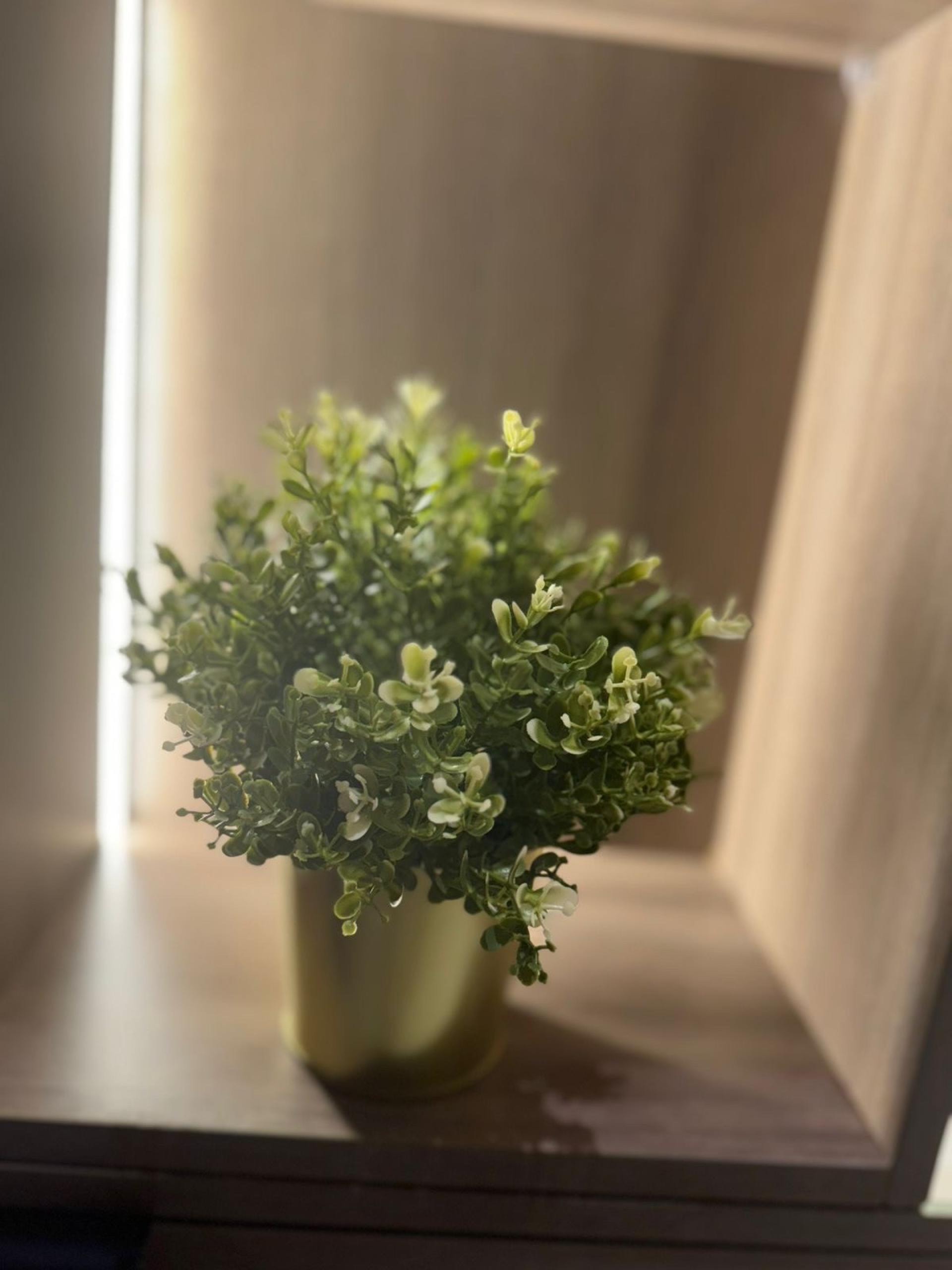 عش المدينة 403City Nest 5